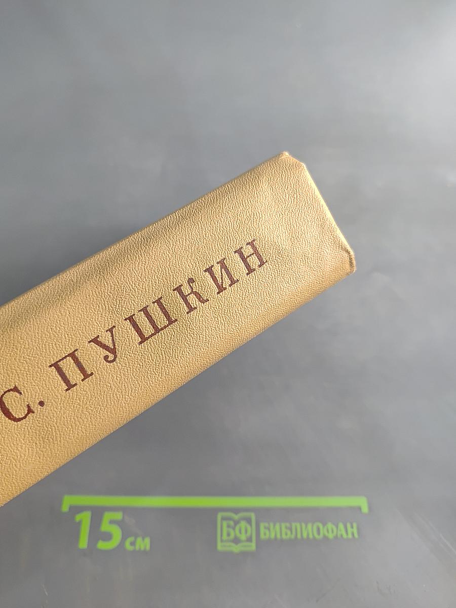 А. С. Пушкин. Полное собрание сочинений. Том десятый. Письма