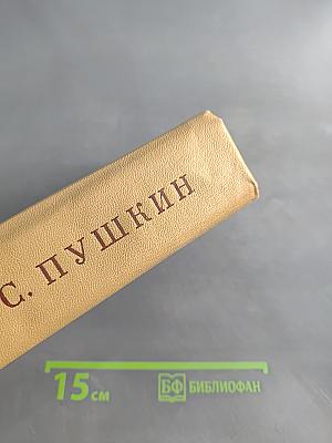 А. С. Пушкин. Полное собрание сочинений. Том десятый. Письма