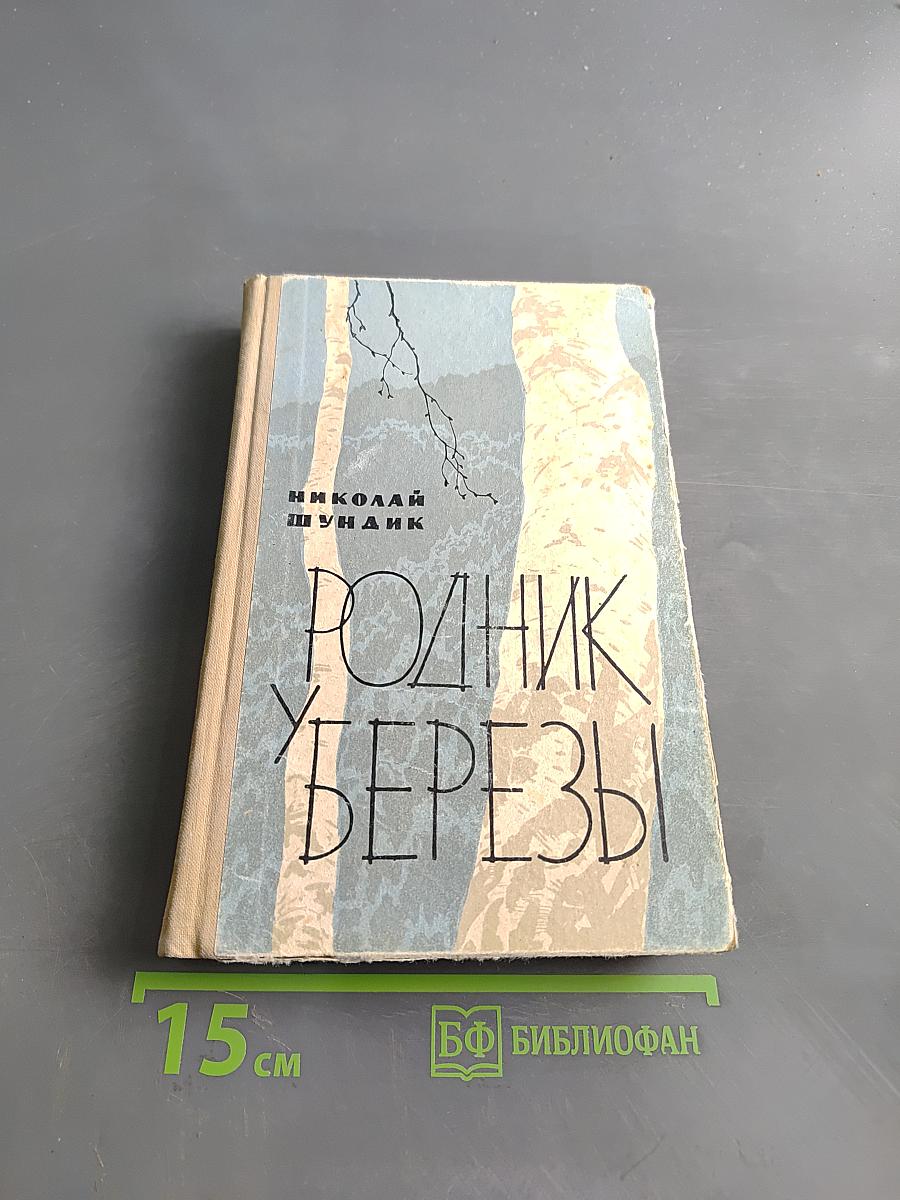 Родник березы