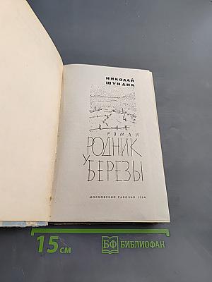 Родник березы