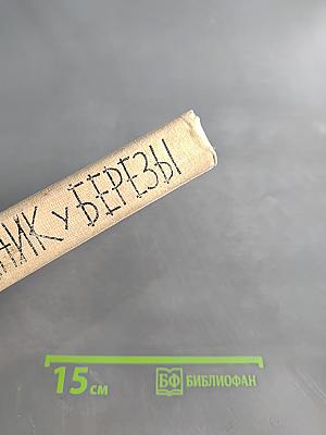Родник березы