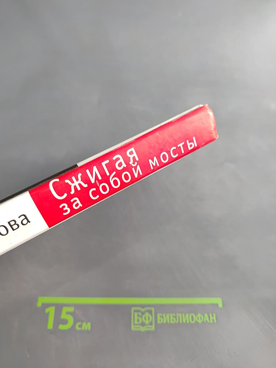 Сжигая за собой мосты