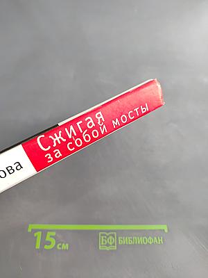 Сжигая за собой мосты