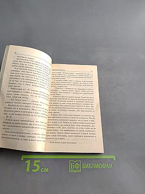 Дневник налетчика