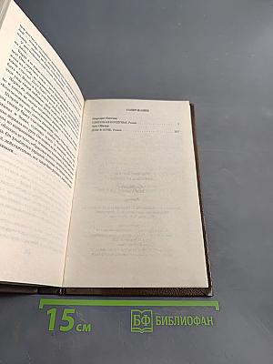 Одинокая колдунья. Дом в огне