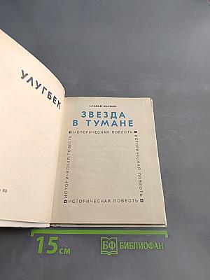 Звезда в тумане
