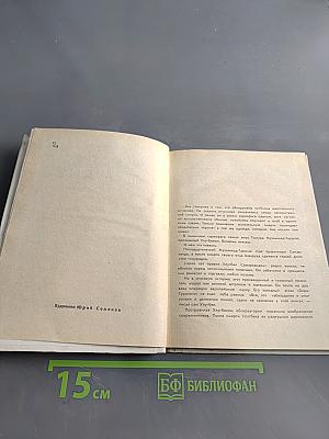 Звезда в тумане