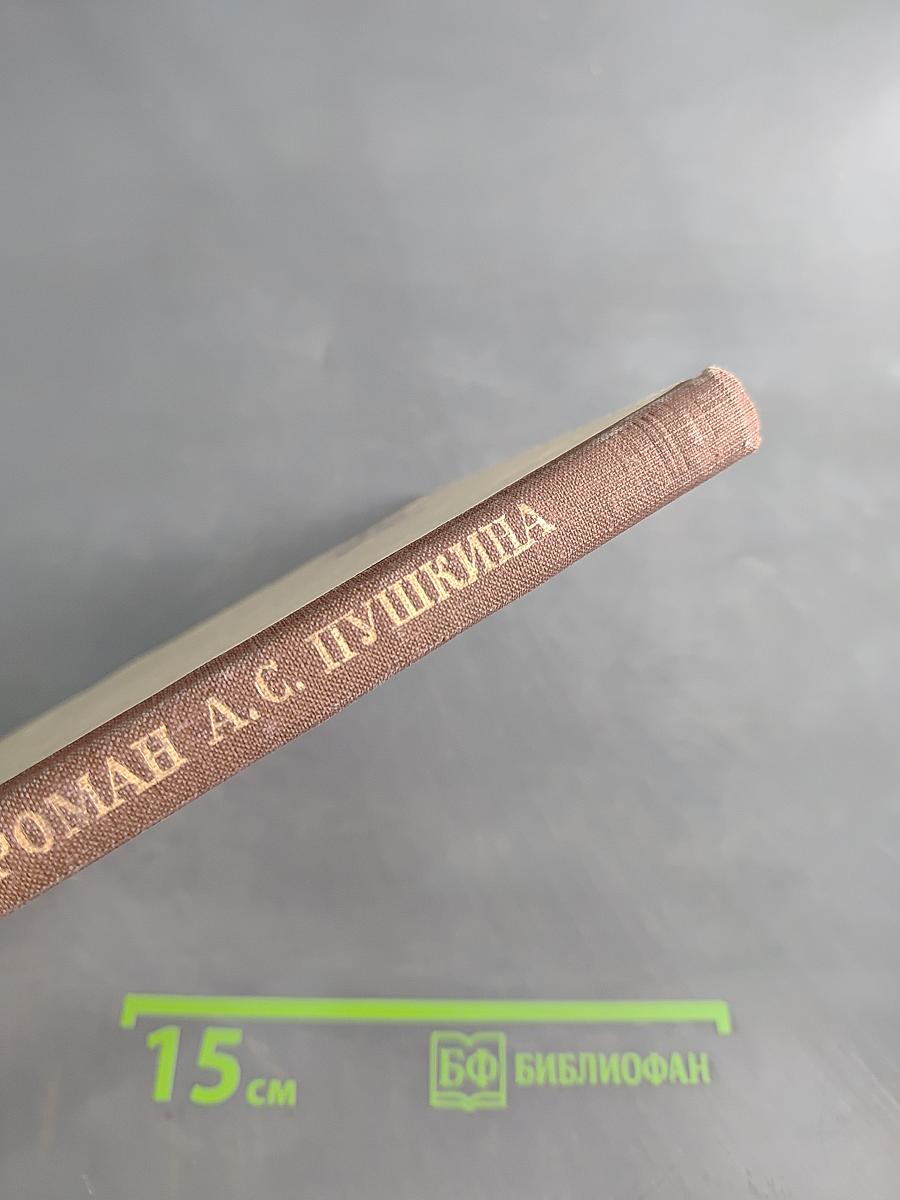 Исторический роман А. С. Пушкина