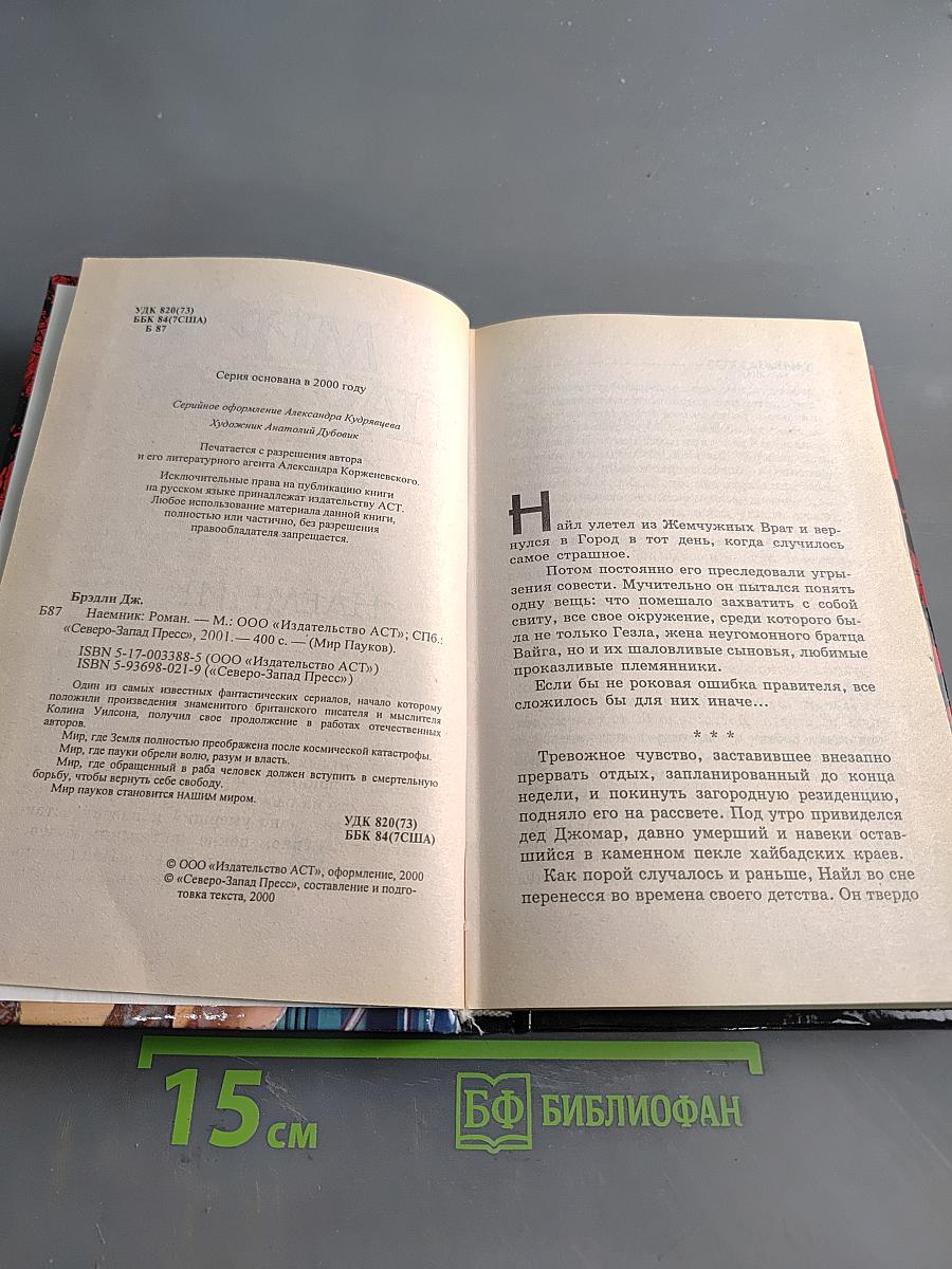 Мир Пауков. Наемник