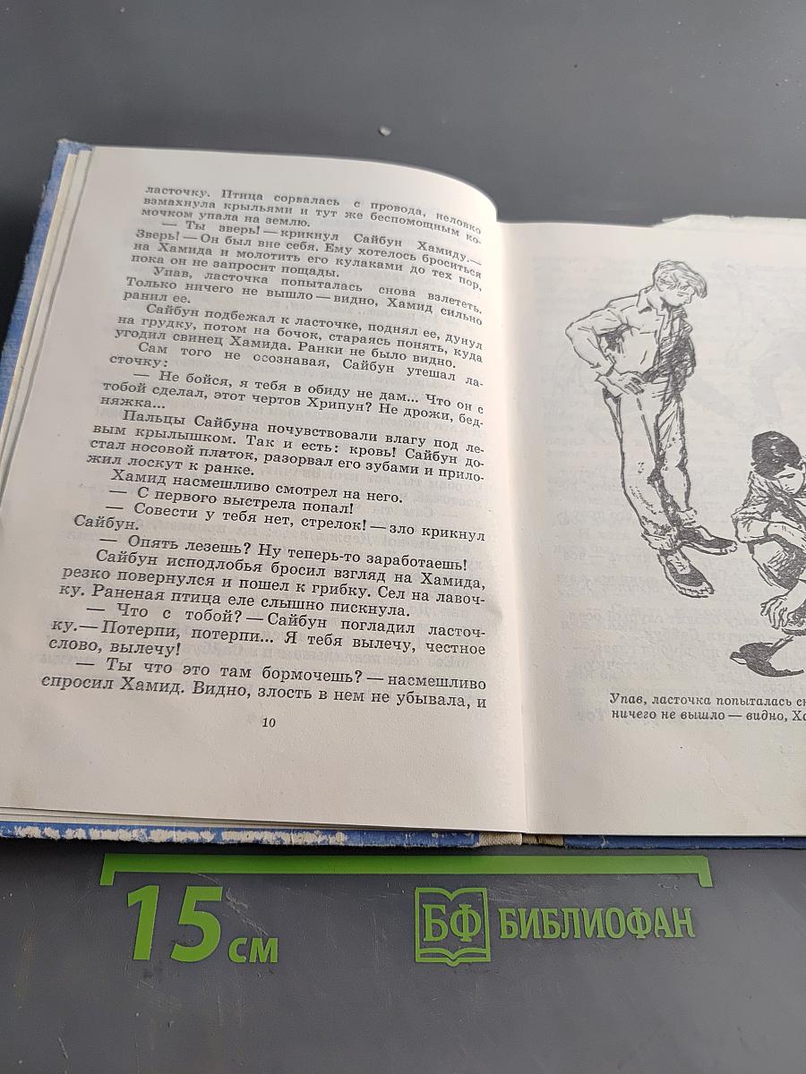 Раненая ласточка