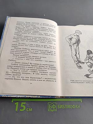 Раненая ласточка