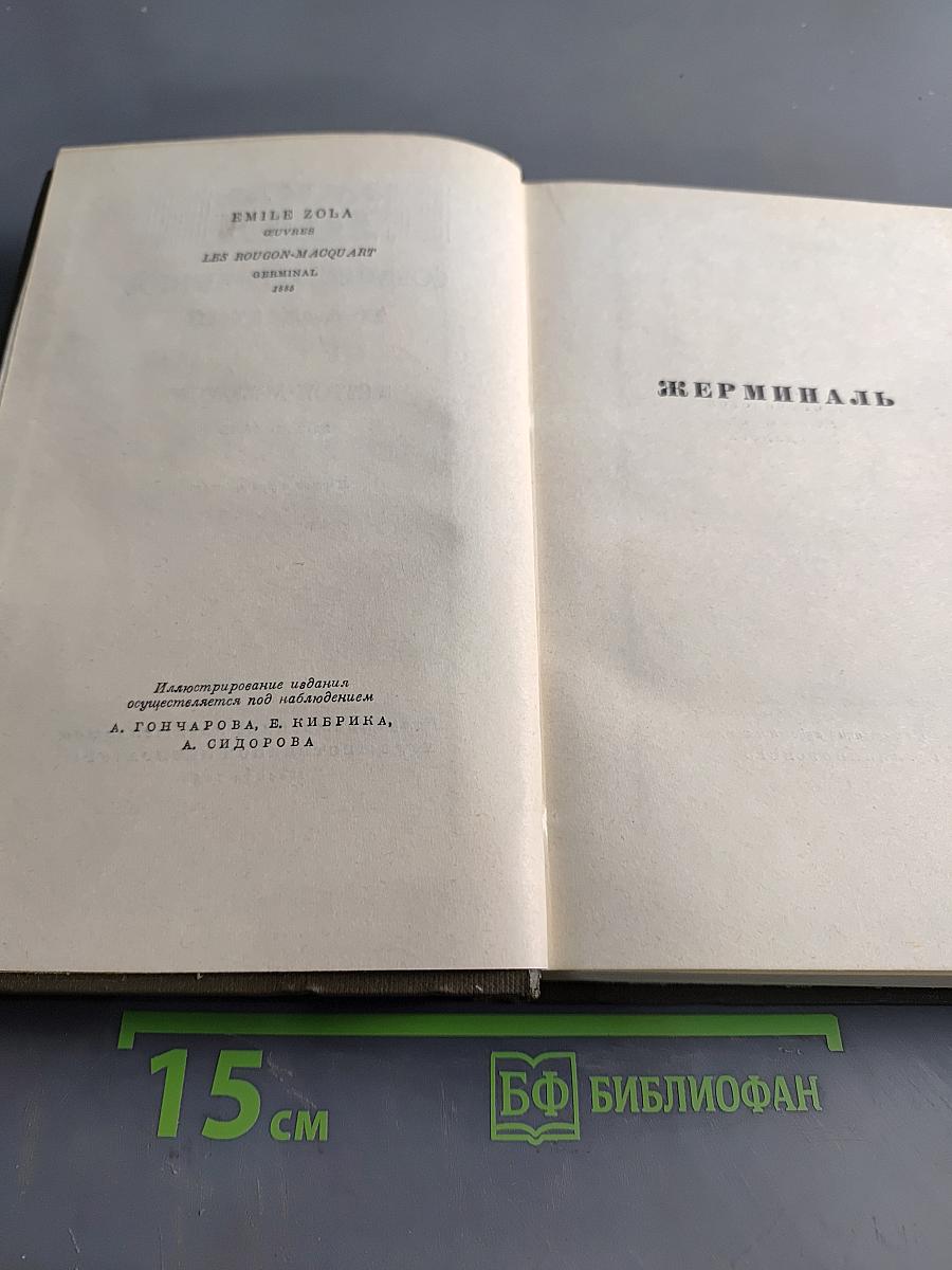 Собрание сочинений. Том десятый. Ругон-Маккары. Жерминаль
