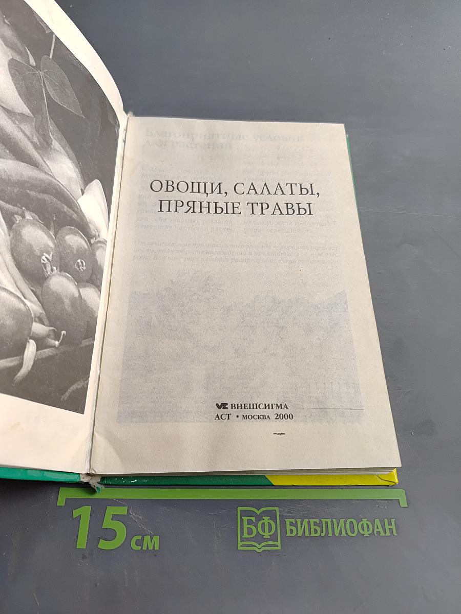 Сад и огород: Овощи, салаты, пряные травы
