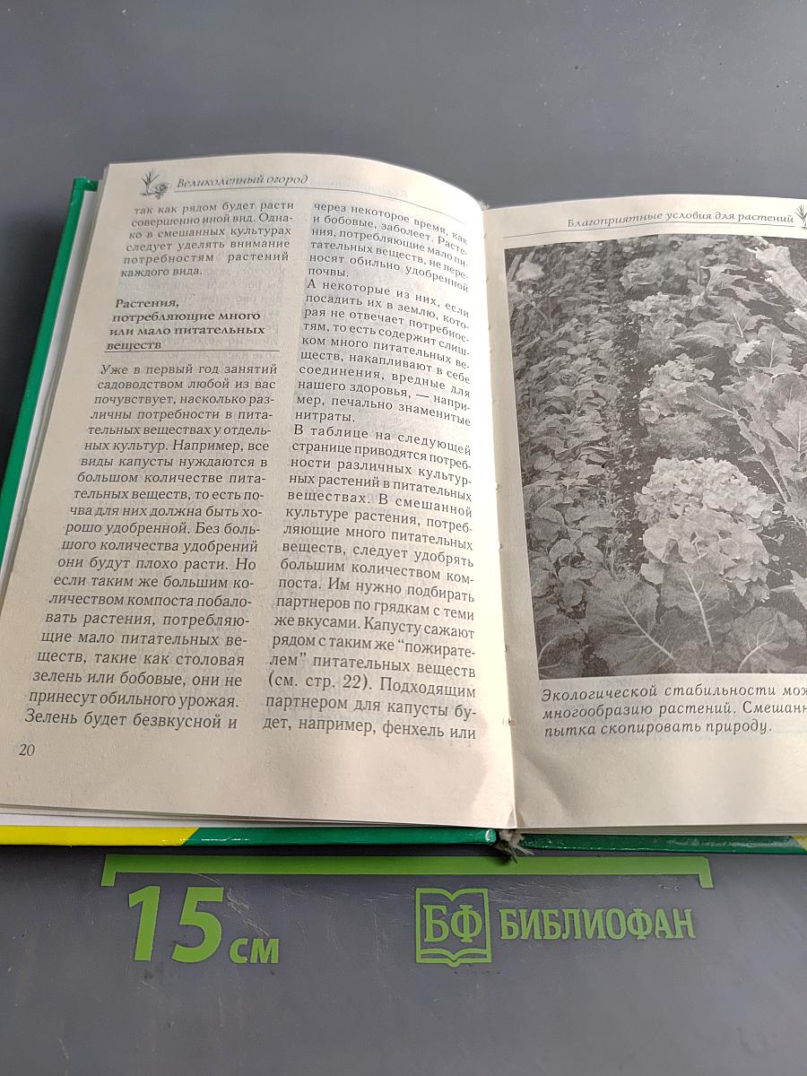 Сад и огород: Овощи, салаты, пряные травы