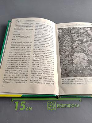 Сад и огород: Овощи, салаты, пряные травы