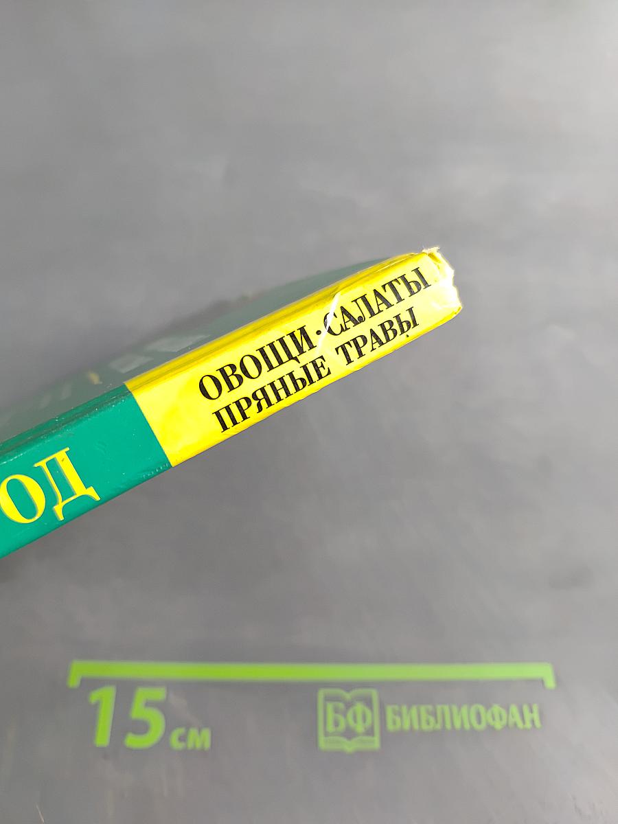 Сад и огород: Овощи, салаты, пряные травы