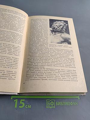 Зарубежная литература. Пособие по факультативному курсу для учащихся VIII-X кл. Изд. 3-е.