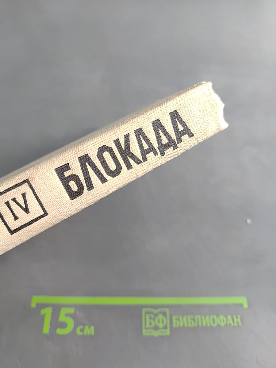 Блокада. Роман. Книга четвертая