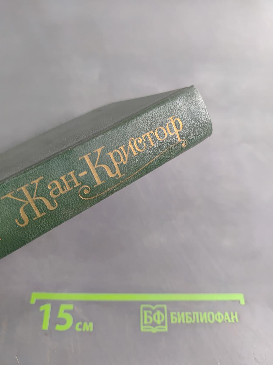 Жан-Кристоф. Роман в четырех томах. Том III. Книга шестая. Антуанетта