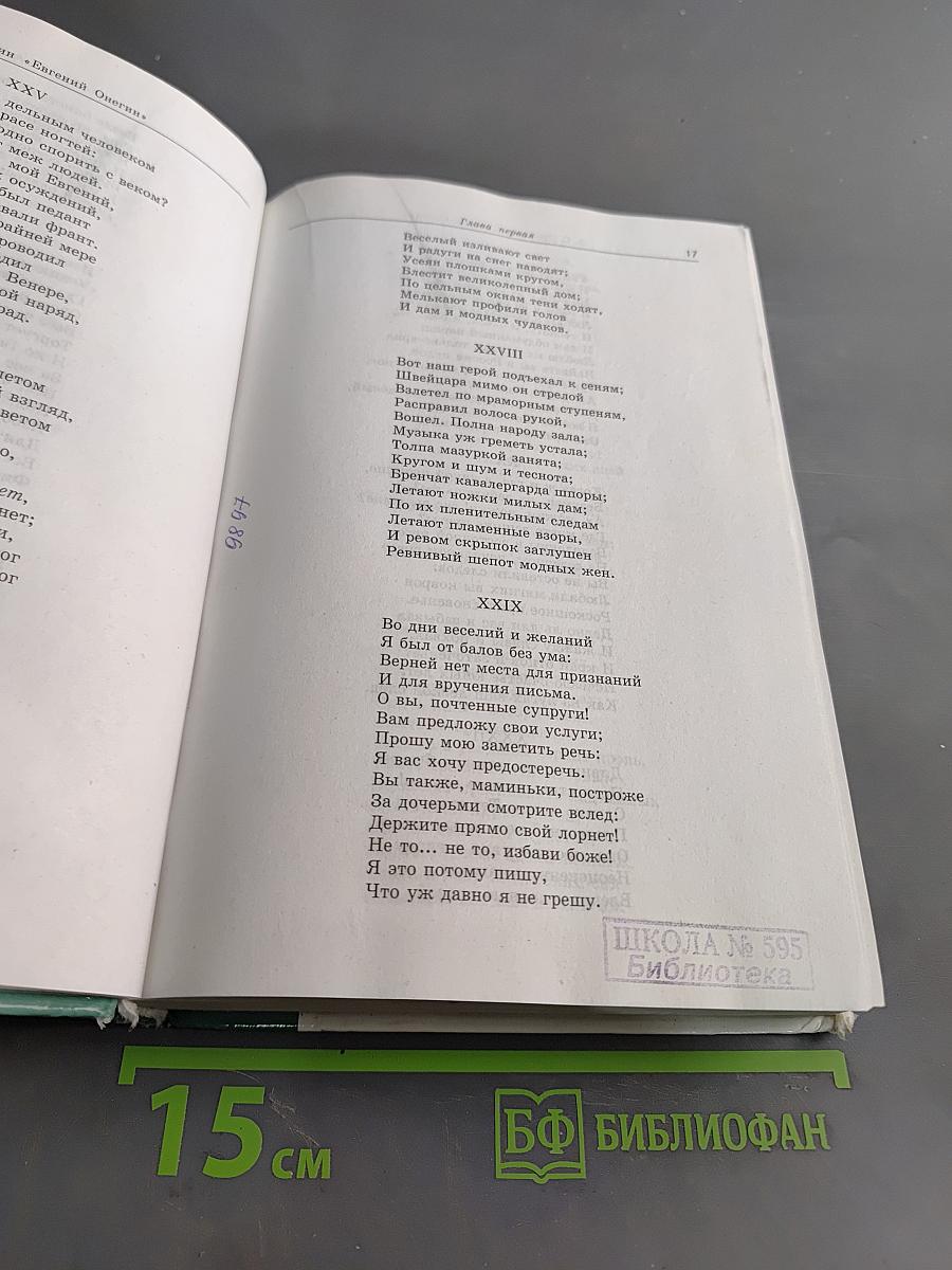 Евгений Онегин. Роман А. С. Пушкина. Комментарий