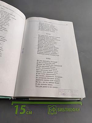 Евгений Онегин. Роман А. С. Пушкина. Комментарий