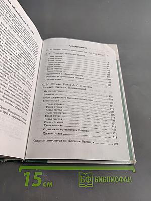 Евгений Онегин. Роман А. С. Пушкина. Комментарий