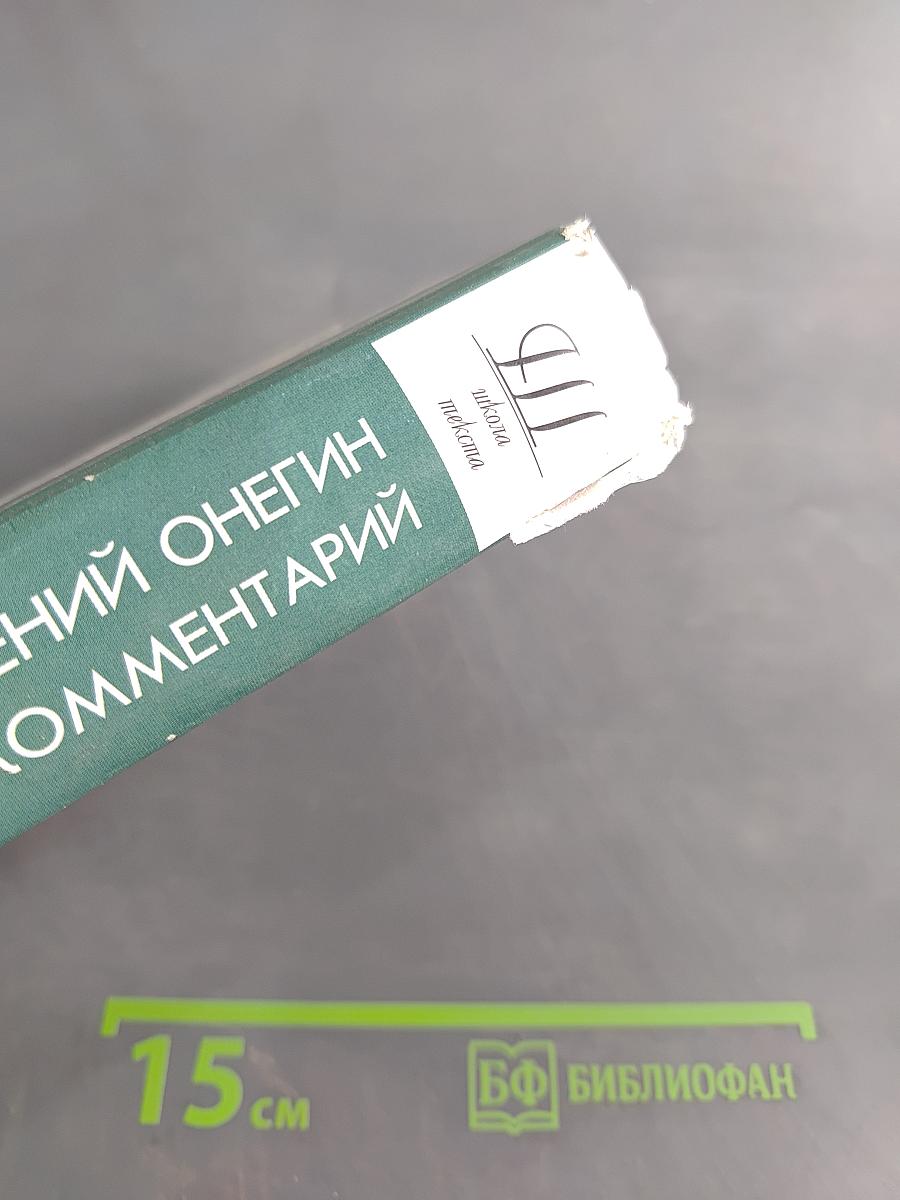 Евгений Онегин. Роман А. С. Пушкина. Комментарий