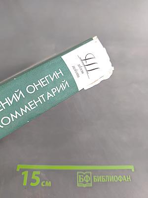 Евгений Онегин. Роман А. С. Пушкина. Комментарий