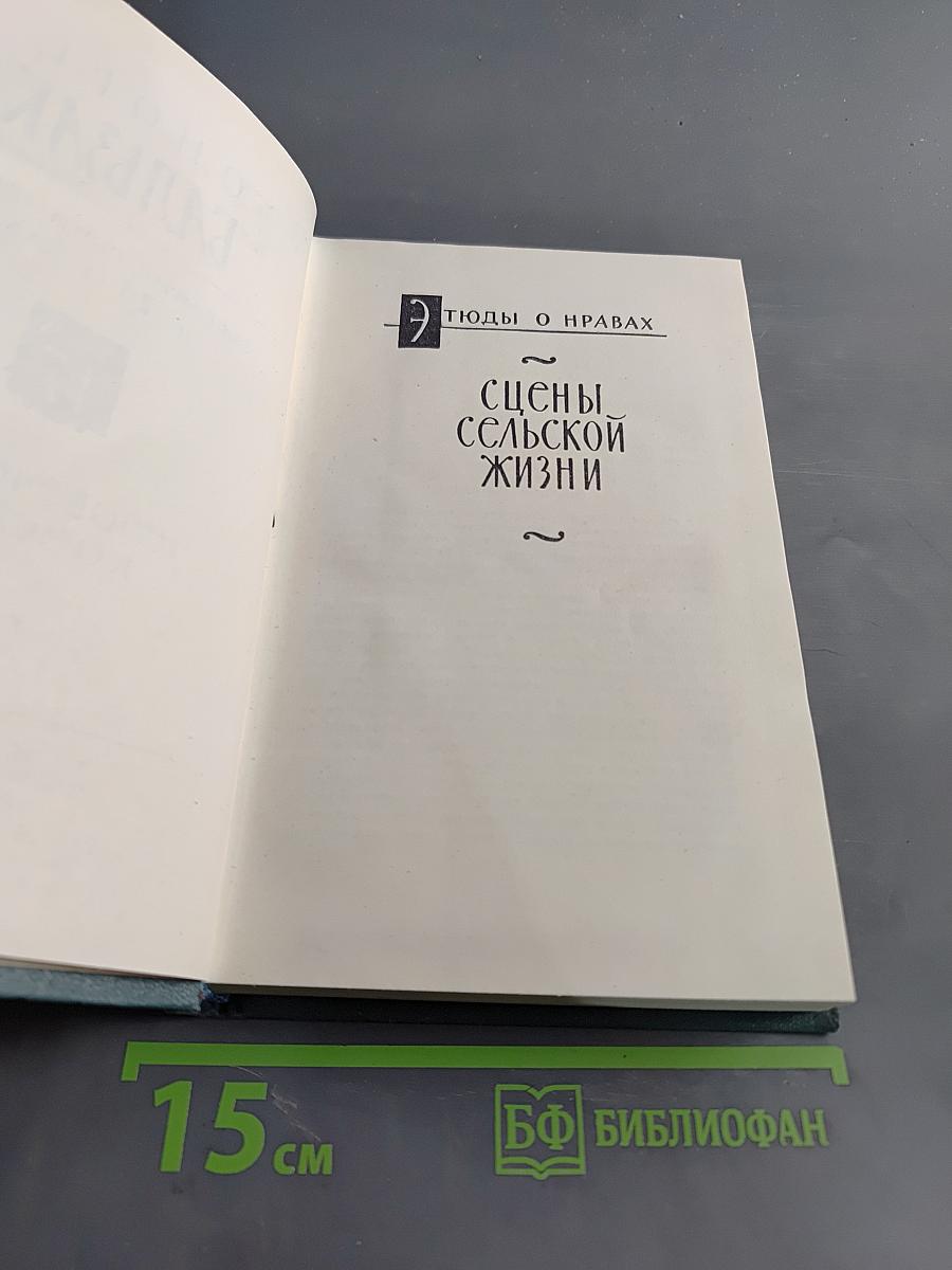 Сельский врач. Сцены сельской жизни