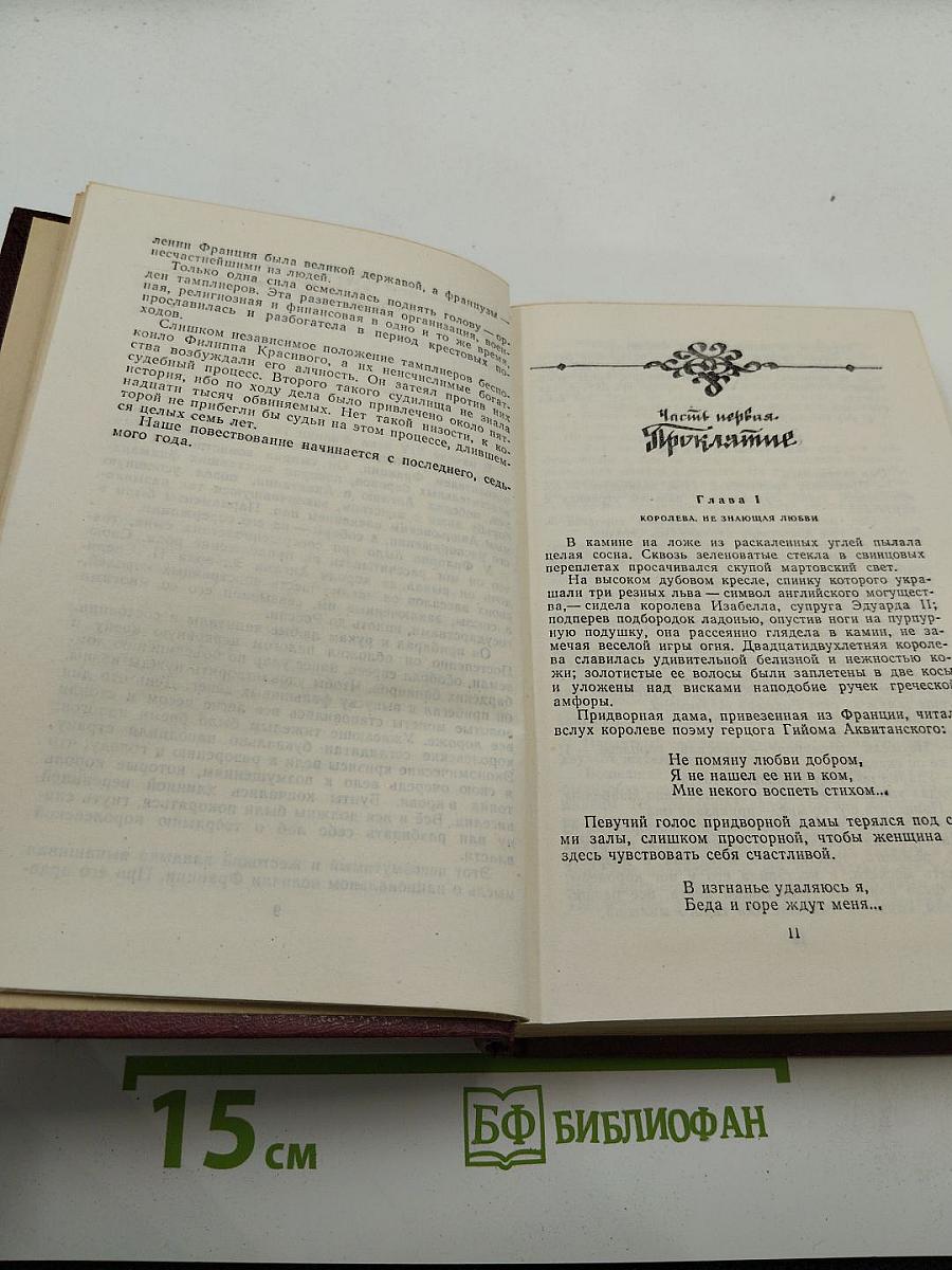 Железный король. Узница Шато-Гайара