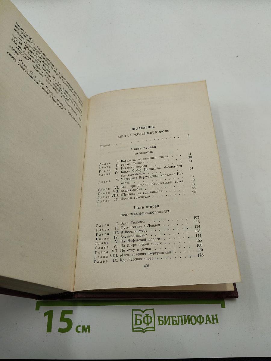 Железный король. Узница Шато-Гайара