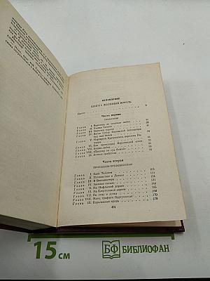 Железный король. Узница Шато-Гайара