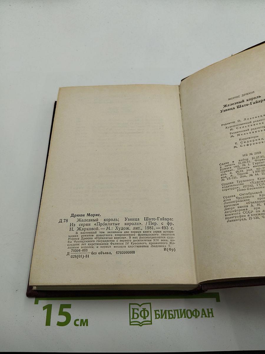 Железный король. Узница Шато-Гайара