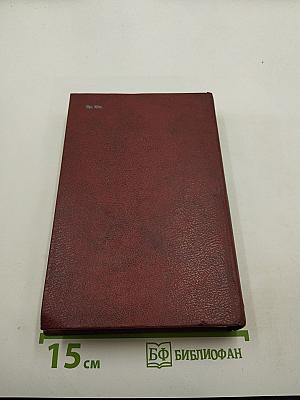 Железный король. Узница Шато-Гайара