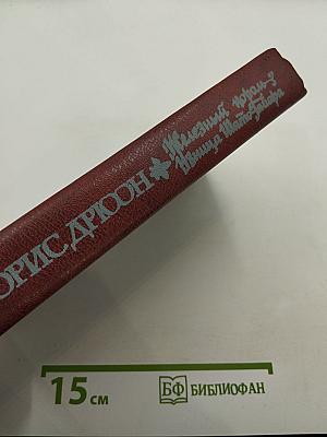 Железный король. Узница Шато-Гайара