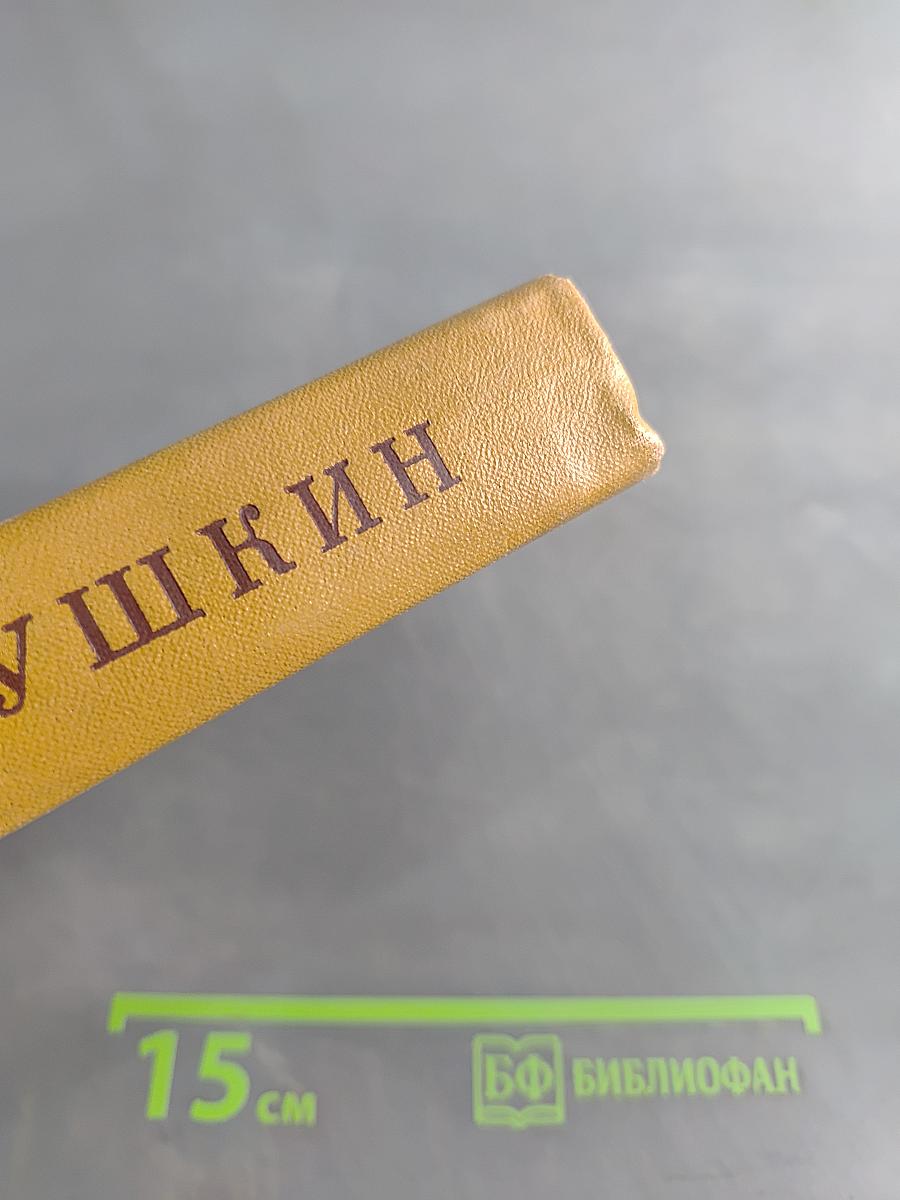 А. С. Пушкин. Полное собрание сочинений в десяти томах. Том восьмой. Автобиографическая и историческая проза. История Пугачева. Записки Моро де Бразе
