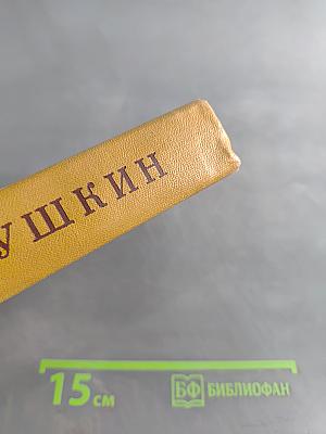А. С. Пушкин. Полное собрание сочинений в десяти томах. Том восьмой. Автобиографическая и историческая проза. История Пугачева. Записки Моро де Бразе