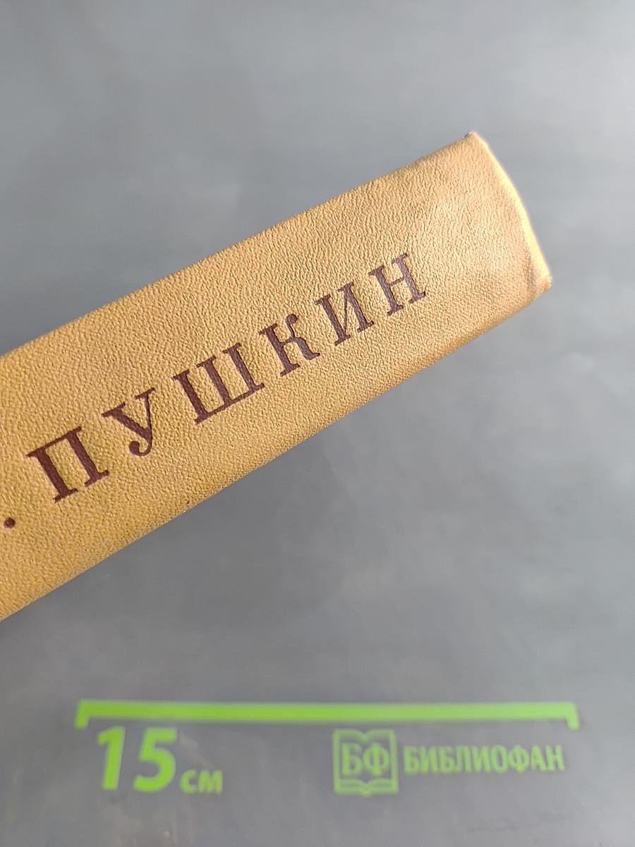 А. С. Пушкин. Полное собрание сочинений. Том пятый. Евгений Онегин. Драматические произведения