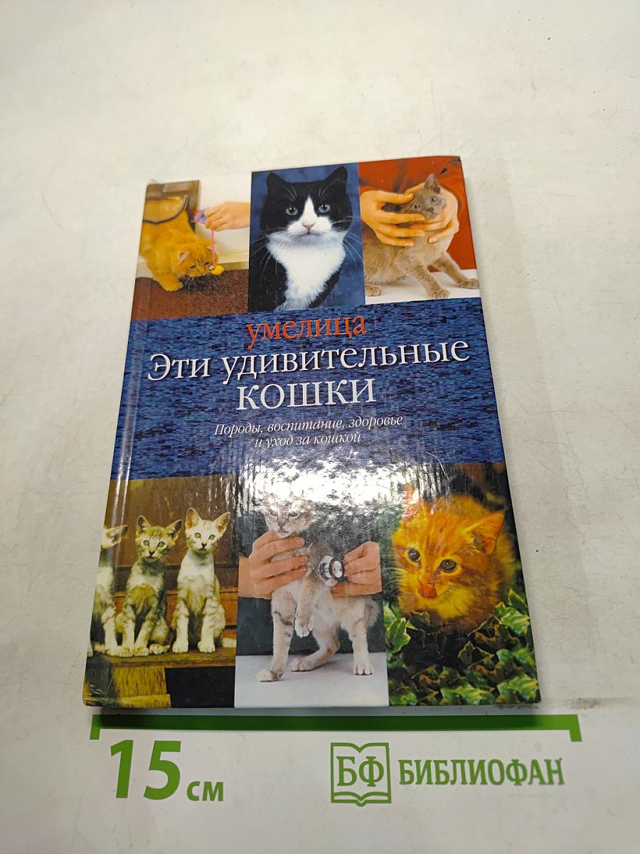 Эти удивительные кошки