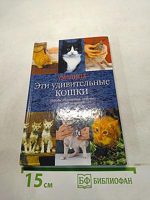 Эти удивительные кошки