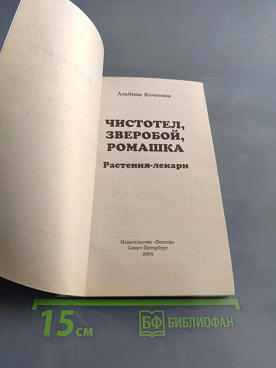 Чистотел, зверобой, ромашка. Растения-лекари