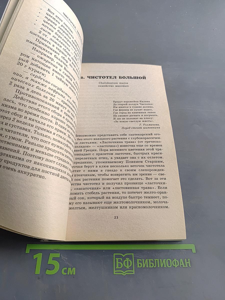 Чистотел, зверобой, ромашка. Растения-лекари