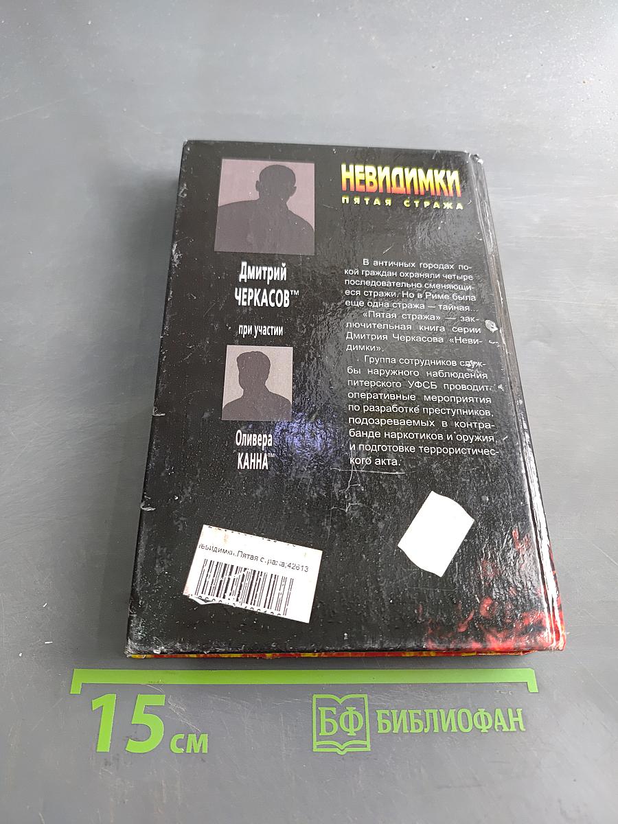 Невидимки. Пятая стража