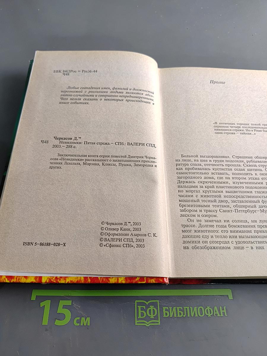Невидимки. Пятая стража