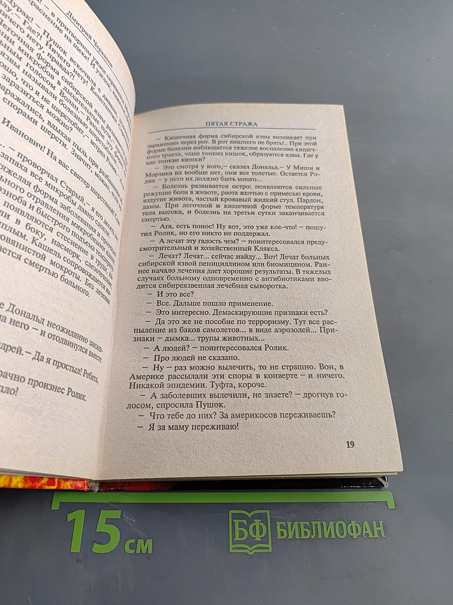 Невидимки. Пятая стража