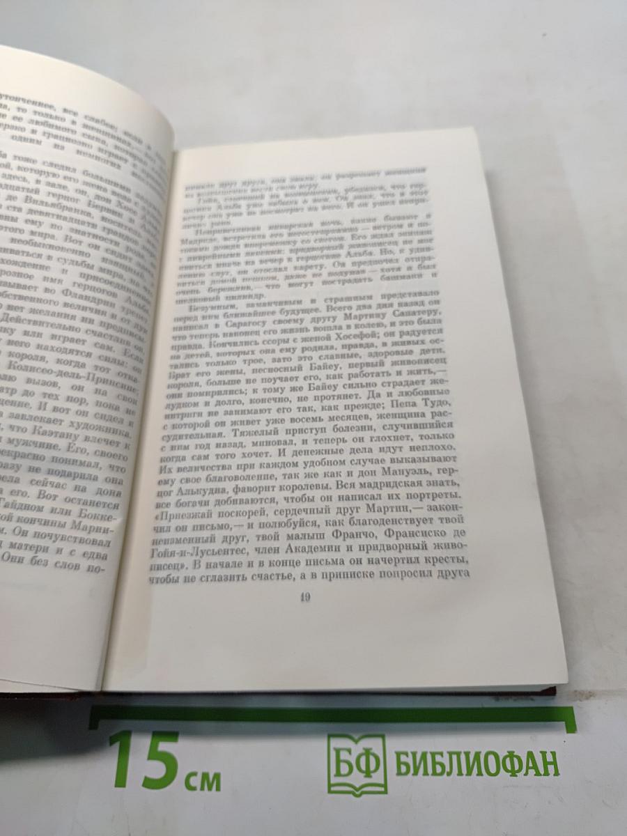 Иоганн Лейхтвантер. Собрание сочинений. Том десятый. Гойя, или Тяжкий путь познания