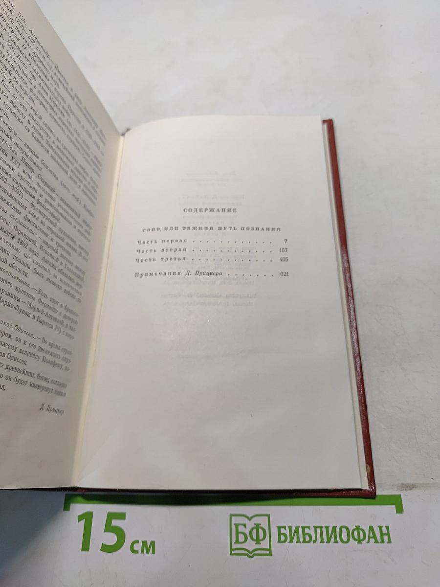 Иоганн Лейхтвантер. Собрание сочинений. Том десятый. Гойя, или Тяжкий путь познания