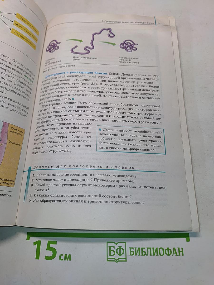 Биология. Базовый и углублённый уровни. Учебник для 10 класса