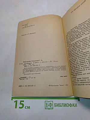 Кулинарная мудрость в минутах