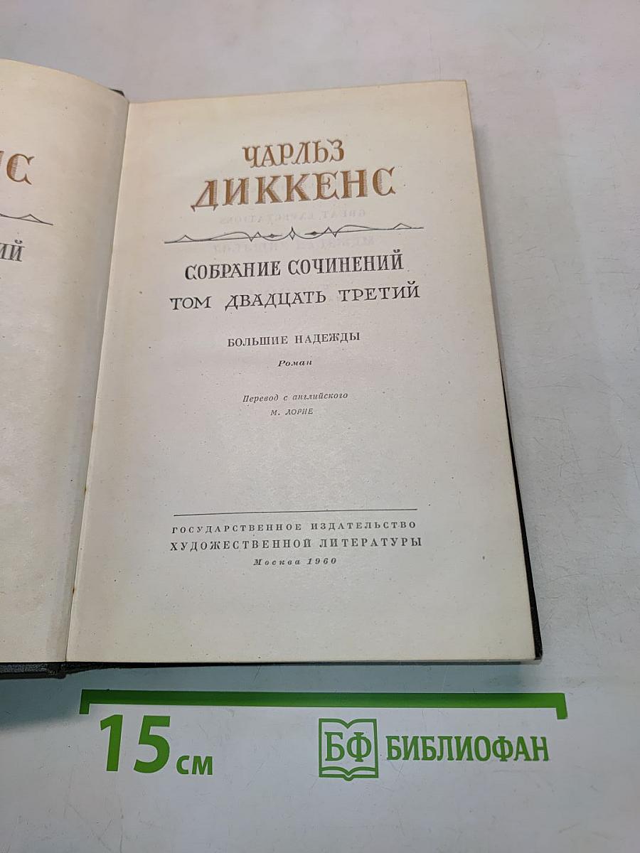 Собрание сочинений. Том двадцать третий. Большие надежды